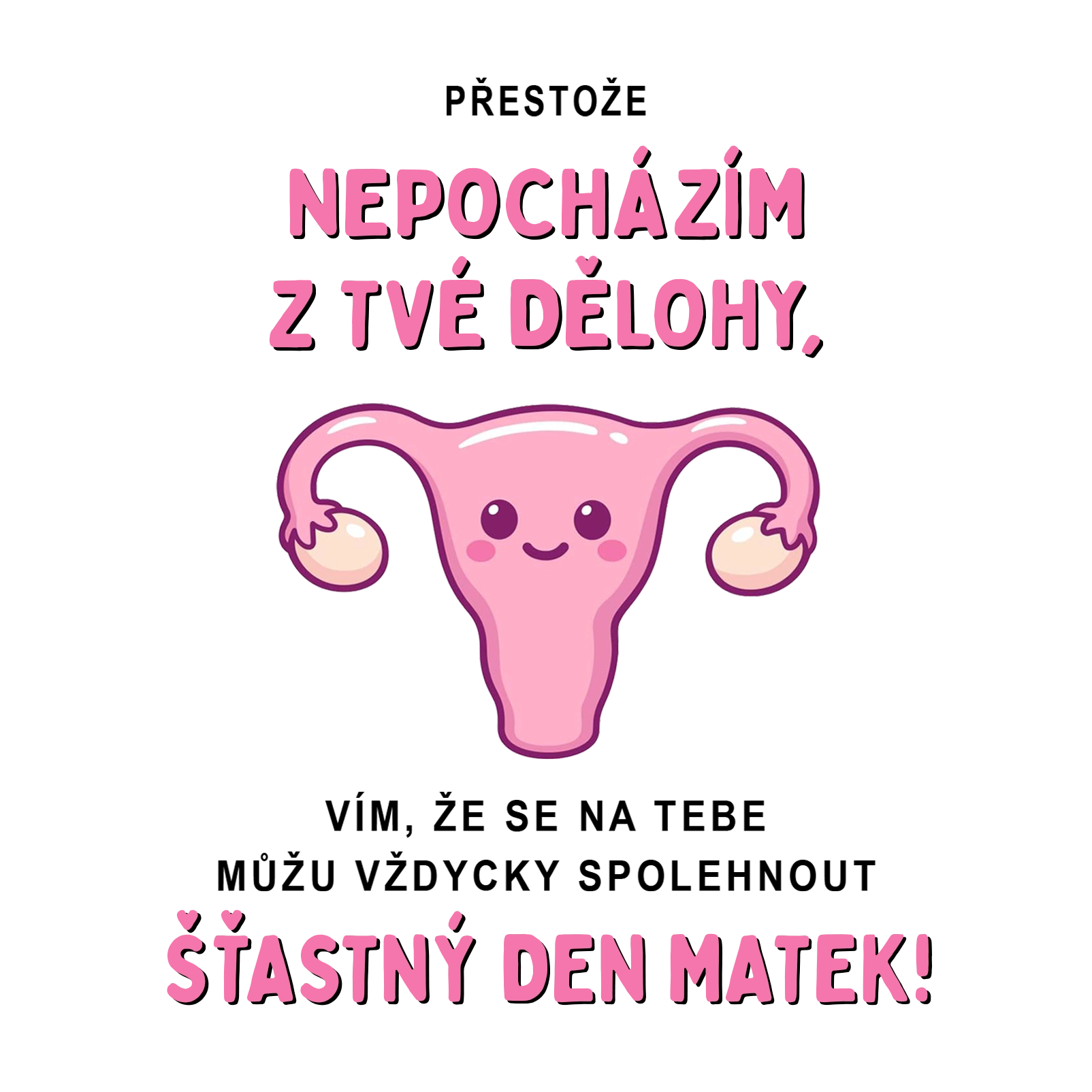 Nepochazim ze tve Den matek - CSEH.webp